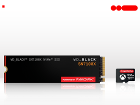 Sandisk ROG Xbox Ally