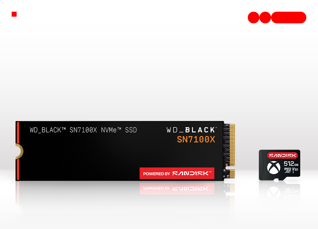 Sandisk ROG Xbox Ally